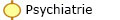  Psychiatrie
