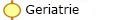  Geriatrie